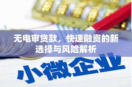 大甲无电审贷款，快速融资的新选择与风险解析