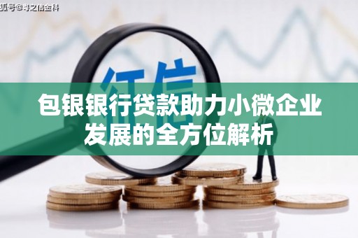 大甲包银银行贷款助力小微企业发展的全方位解析