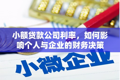 大甲小额贷款公司利率，如何影响个人与企业的财务决策