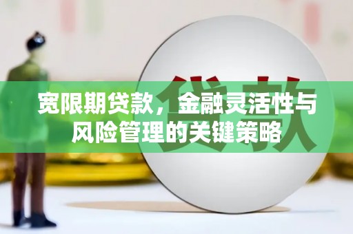 大甲宽限期贷款，金融灵活性与风险管理的关键策略