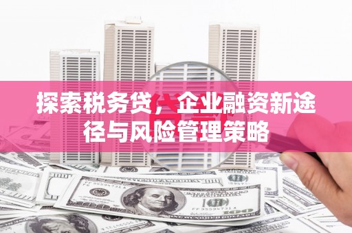 大甲探索税务贷，企业融资新途径与风险管理策略