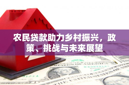 大甲农民贷款助力乡村振兴，政策、挑战与未来展望