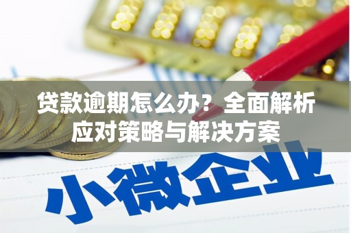 大甲贷款逾期怎么办？全面解析应对策略与解决方案