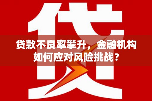 大甲贷款不良率攀升，金融机构如何应对风险挑战？