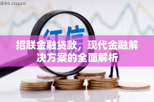 大甲招联金融贷款，现代金融解决方案的全面解析