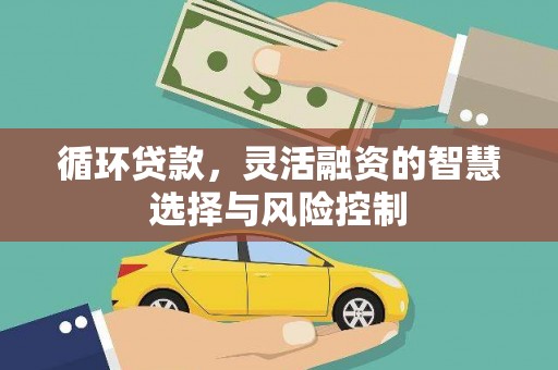 大甲循环贷款，灵活融资的智慧选择与风险控制