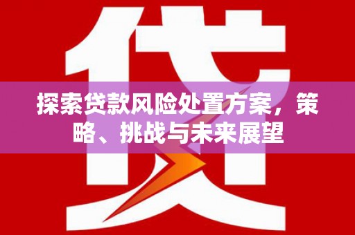 大甲探索贷款风险处置方案，策略、挑战与未来展望