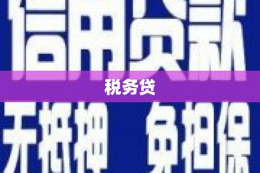 大甲税务贷