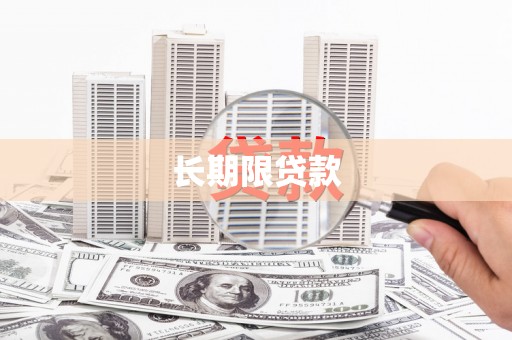 大甲长期限贷款