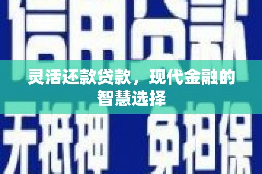 大甲灵活还款贷款，现代金融的智慧选择