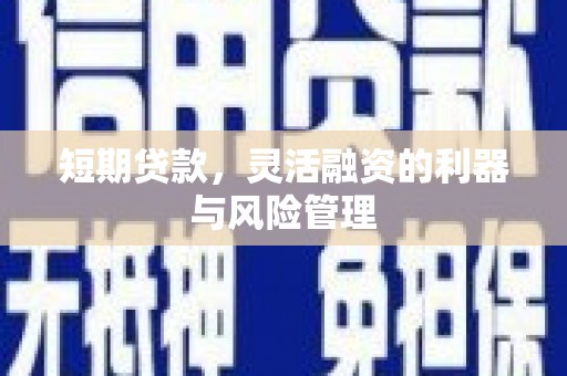 大甲短期贷款，灵活融资的利器与风险管理