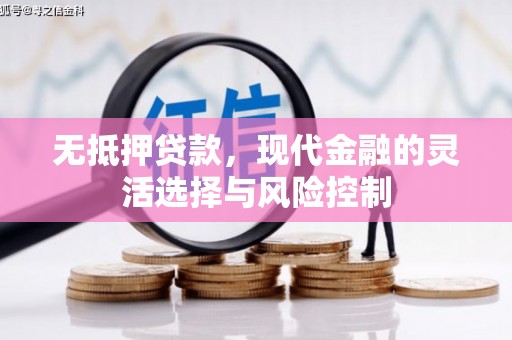 大甲无抵押贷款，现代金融的灵活选择与风险控制