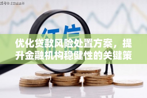 大甲优化贷款风险处置方案，提升金融机构稳健性的关键策略