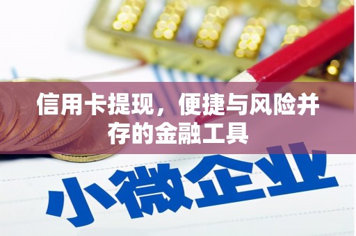 大甲信用卡提现，便捷与风险并存的金融工具