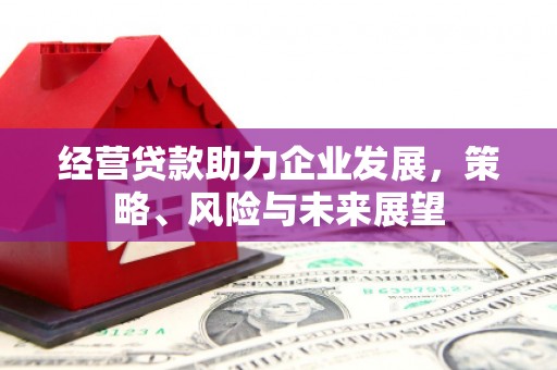 大甲经营贷款助力企业发展，策略、风险与未来展望