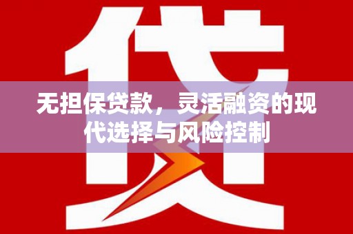 大甲无担保贷款，灵活融资的现代选择与风险控制