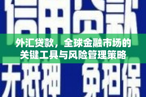 大甲外汇贷款，全球金融市场的关键工具与风险管理策略