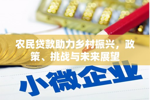 大甲农民贷款助力乡村振兴，政策、挑战与未来展望