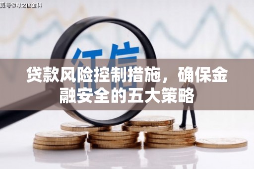 大甲贷款风险控制措施，确保金融安全的五大策略