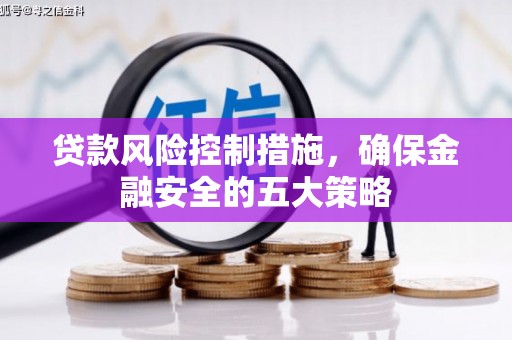 大甲贷款风险控制措施，确保金融安全的五大策略