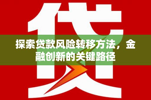 大甲探索贷款风险转移方法，金融创新的关键路径
