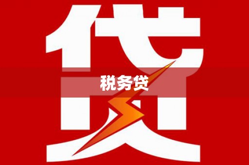 大甲税务贷