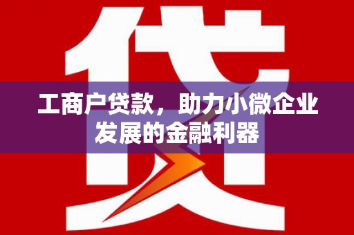 大甲工商户贷款，助力小微企业发展的金融利器