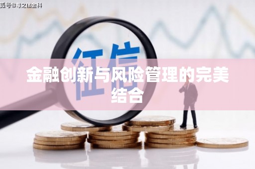 大甲金融创新与风险管理的完美结合