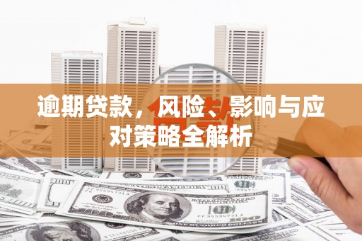大甲逾期贷款，风险、影响与应对策略全解析