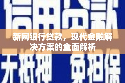 大甲新网银行贷款，现代金融解决方案的全面解析