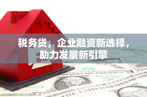 大甲税务贷，企业融资新选择，助力发展新引擎