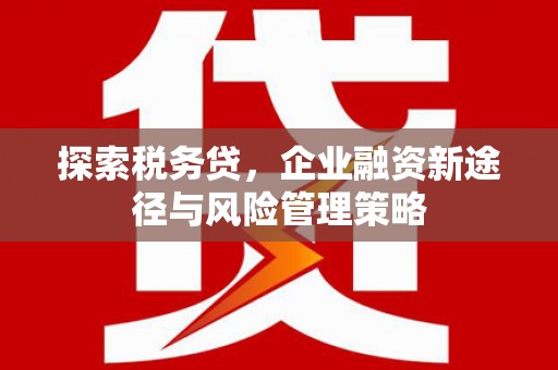 大甲探索税务贷，企业融资新途径与风险管理策略