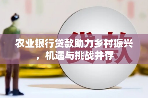 大甲农业银行贷款助力乡村振兴，机遇与挑战并存