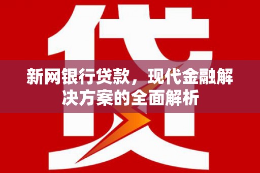 大甲新网银行贷款，现代金融解决方案的全面解析