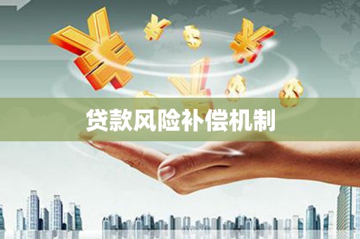 大甲贷款风险补偿机制