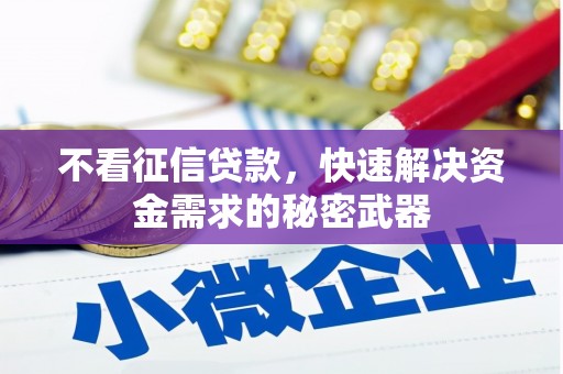 大甲不看征信贷款，快速解决资金需求的秘密武器