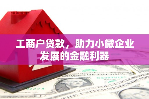 大甲工商户贷款，助力小微企业发展的金融利器