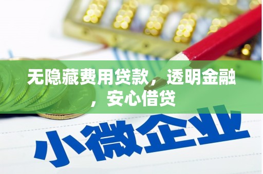 大甲无隐藏费用贷款，透明金融，安心借贷