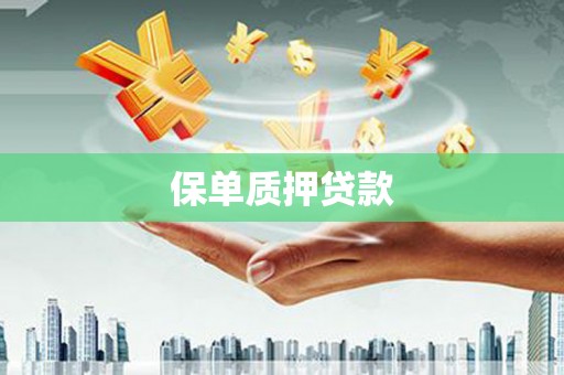 大甲保单质押贷款