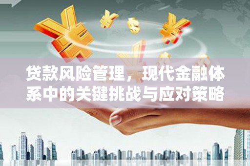 大甲贷款风险管理，现代金融体系中的关键挑战与应对策略