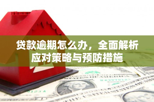大甲贷款逾期怎么办，全面解析应对策略与预防措施
