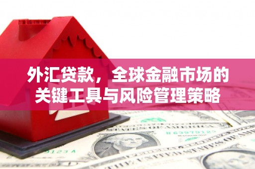大甲外汇贷款，全球金融市场的关键工具与风险管理策略