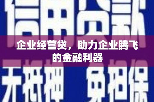 大甲企业经营贷，助力企业腾飞的金融利器