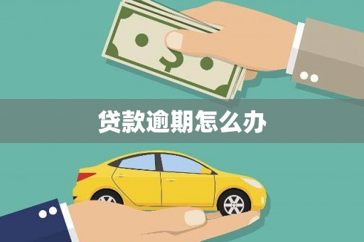 大甲贷款逾期怎么办