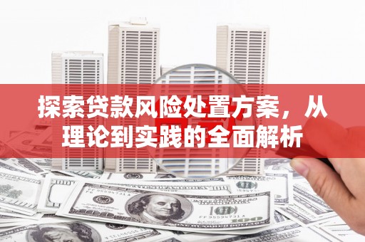 大甲探索贷款风险处置方案，从理论到实践的全面解析