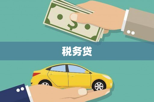 大甲税务贷