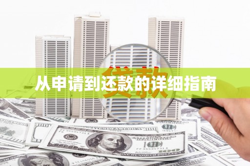大甲从申请到还款的详细指南