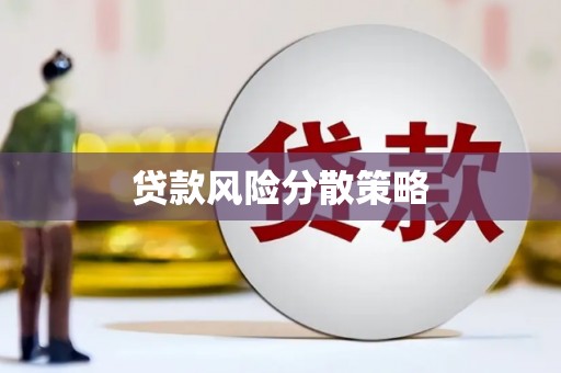 大甲贷款风险分散策略