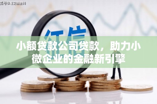 大甲小额贷款公司贷款，助力小微企业的金融新引擎