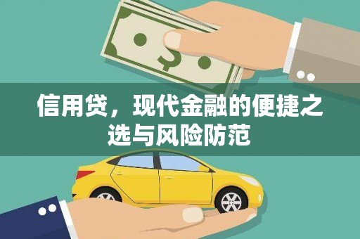 大甲信用贷，现代金融的便捷之选与风险防范